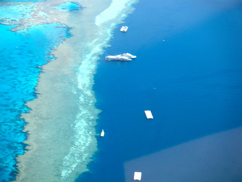 Amazing_Great_Barrier_Reef