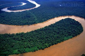 Amazing Amazon River