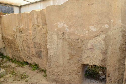 Bulls and Sow Carvings - Tarxien Temple