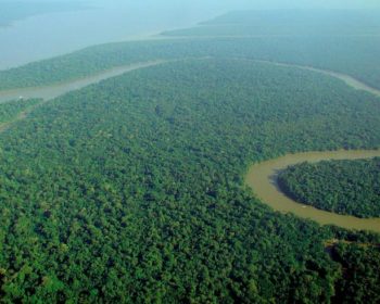 facts about amazon river areal view
