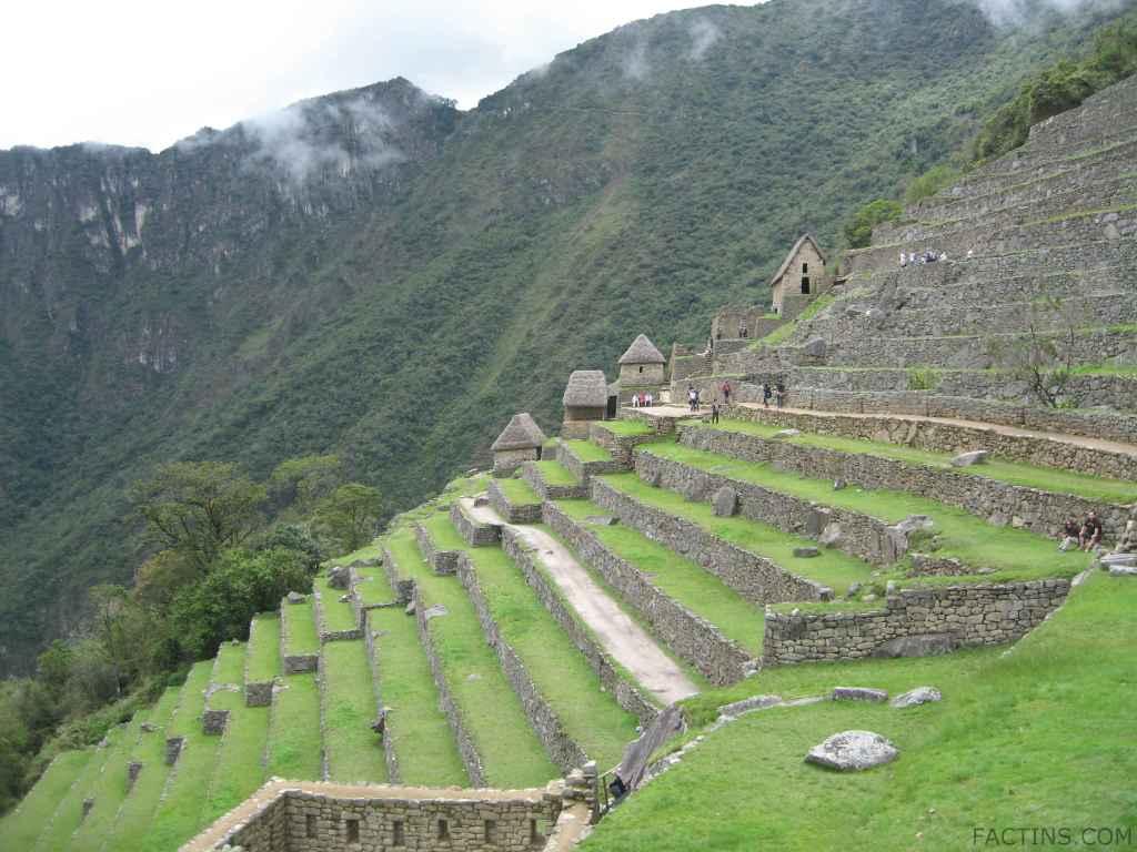 Machu Pichu View