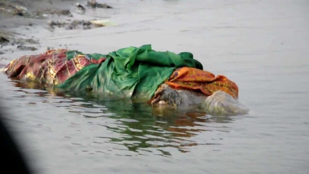 Dead Bodies Floating In The Ganges River