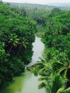 - Hanging Bridge - Factins