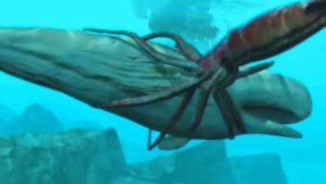 Giant Squid Hunting Whale - interesting facts giant squid - Factins