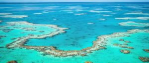 great - reef - interesting-facts-ocean-ecosystem