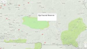 dja faunal reserve - factins