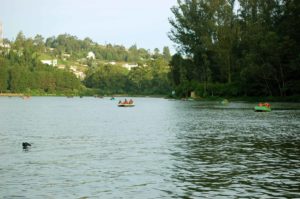 Pykara Dam - Best Tourist Places in tamilnadu - Factins