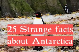 20 strange facts about antarctica