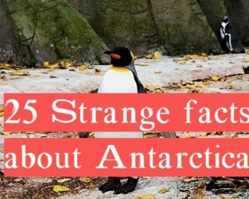 20 strange facts about antarctica