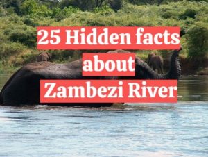 25 interesting facts about Zambezi River