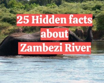 25 interesting facts about Zambezi River
