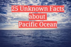 25 interesting facts about pacific ocean