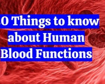 25 facts about human blood functions