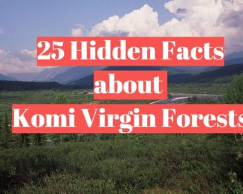 25 hidden facts about Komi Virgin Forests