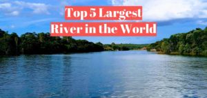 top 5 largest rivers in the world