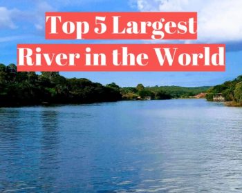 top 5 largest rivers in the world