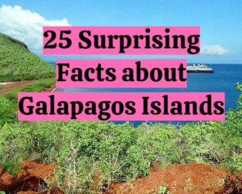 25 hidden facts about galapagos islands
