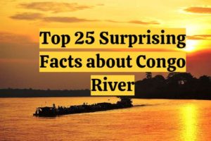 top 25 facts about congo river