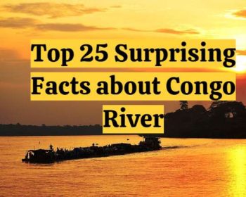 top 25 facts about congo river